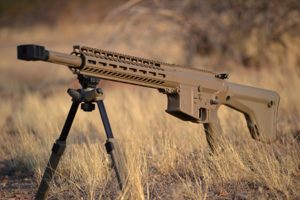 AR-10