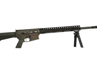 Custom AR-10 243 Winchester