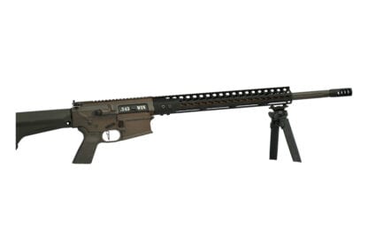 Custom AR-10 243 Winchester